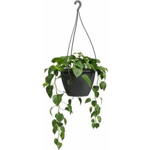 Plastový květináč ø 31 cm Algarve – Artevasi obraz