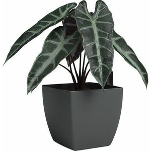 Květináč z recyklovaného plastu Siena – Artevasi obraz