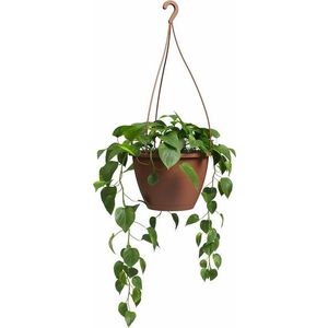 Plastový květináč ø 31 cm Algarve – Artevasi obraz