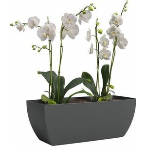 Truhlík z recyklovaného plastu 40 cm Siena – Artevasi obraz