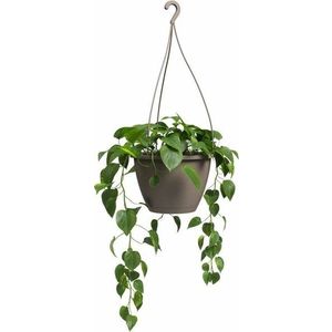 Plastový květináč ø 31 cm Algarve – Artevasi obraz