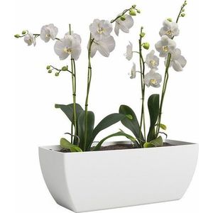 Truhlík z recyklovaného plastu 30 cm Siena – Artevasi obraz