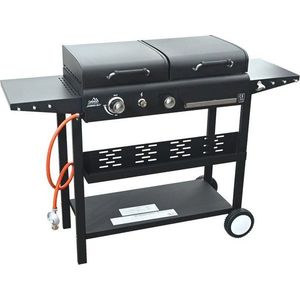 Plynový/na dřevěné uhlí gril Domino 2in1 – Cattara obraz