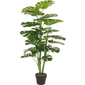 Umělá monstera (výška 120 cm) Philodendron – Bizzotto obraz