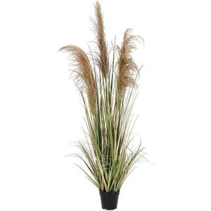 Umělá rostlina (výška 145 cm) Austorderia – Bizzotto obraz