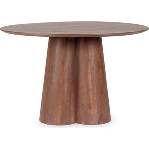 Kulatý jídelní stůl z mangového dřeva ø 120 cm Nassor – Bizzotto obraz