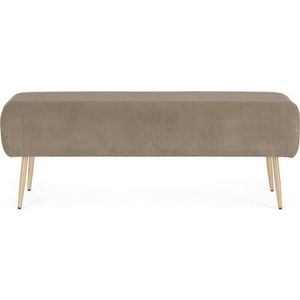 Taupe polstrovaná lavice Olga – Bizzotto obraz