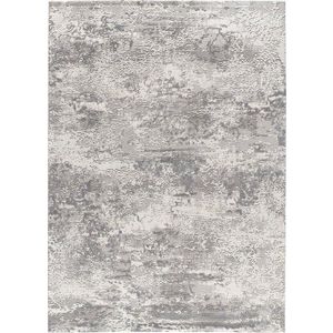 Světle šedý koberec 154x230 cm Oris – Universal obraz