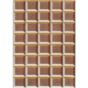 Koberec v terakotové barvě 200x290 cm Amara – Universal obraz