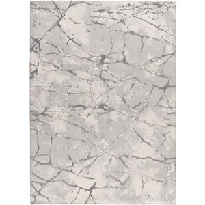 Šedobéžový koberec 192x290 cm Oris – Universal obraz