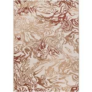 Béžový/v terakotové barvě koberec 200x290 cm Astra – Universal obraz