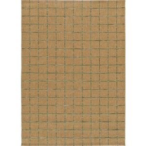 Vnitřní a venkovní koberec v přírodní barvě 160x230 cm Pergola – Universal obraz