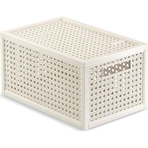 Krémový úložný box s víkem z recyklovaného plastu 19x30x15 cm Kaya – Curver obraz