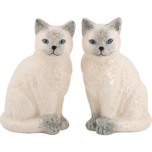 Slánka a pepřenka Ragdoll Cat – Sass & Belle obraz