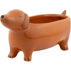 Keramický obal na květináč Sausage Dog – Sass & Belle obraz