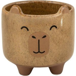 Kameninový ručně malovaný obal na květináč ø 7, 5 cm Mojave Capybara – Sass & Belle obraz