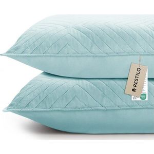 Povlaky na polštáře v sadě 2 ks z mikrovlákna 50x70 cm Softa – Restilo obraz