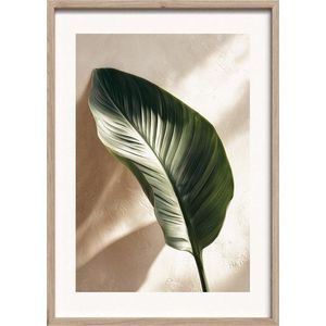Tištěný obraz s rámem 50x70 cm Strelizia Leaf – Styler obraz