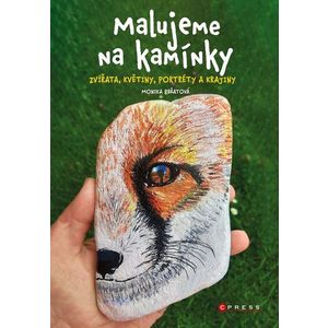 Malujeme na kamínky obraz