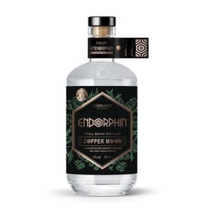 Gin v dárkovém balení COPPER MOON obraz