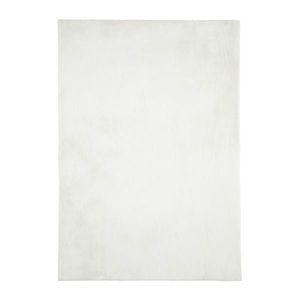 Novel KOBEREC S VYSOKÝM VLASEM, 120/160 cm bílá obraz