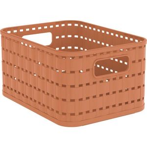 Rotho ÚLOŽNÝ BOX, plast obraz