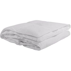Sleeptex CELOROČNÍ PŘIKRÝVKA, 220/140 cm, obraz