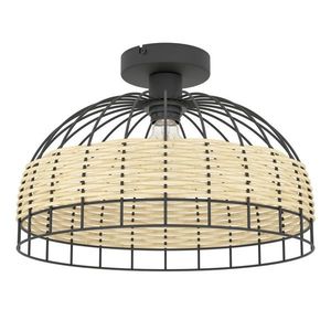 Eglo STROPNÍ SVÍTIDLO, 38/26.5 cm obraz