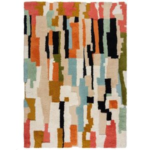 Flair Rugs VLNĚNÝ KOBEREC, 120/170 cm vícebarevná obraz
