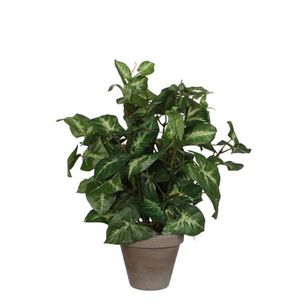 UMĚLÁ ROSTLINA 35 cm obraz