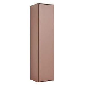 Voleo SKŘÍŇ NA ODĚV, hnědá, 42/170/41 cm obraz