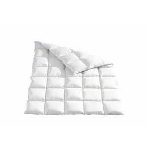 Sleeptex CELOROČNÍ PŘIKRÝVKA, 220/240 cm, kachní prachové peří, kachní peří obraz