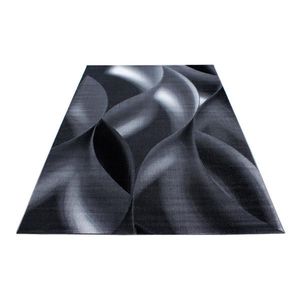 Novel BĚHOUN, 80/300 cm černá obraz