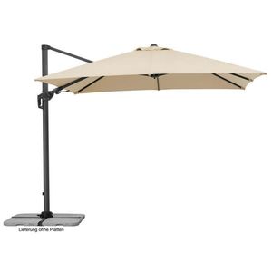 BOČNÍ SLUNEČNÍK 358/263/300 cm obraz