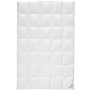 Sleeptex CELOROČNÍ PŘIKRÝVKA, 135/200 cm, kachní prachové peří, kachní peří obraz