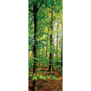 Euroart MALBA NA PLÁTNĚ, stromy, 30/80/3 cm obraz