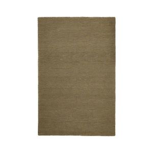 Flair Rugs VLNĚNÝ KOBEREC, 160/230 cm zelená obraz