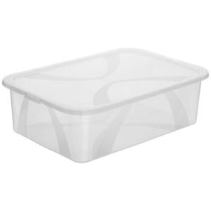 Rotho BOX S VÍKEM 29 l obraz
