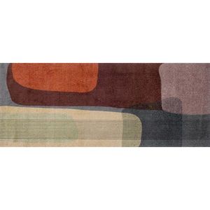 wash+dry BĚHOUN, 80/200 cm vícebarevná obraz