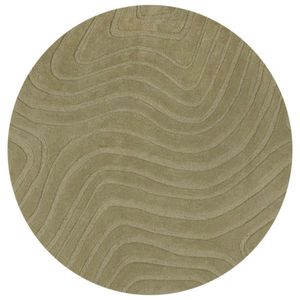 Flair Rugs VLNĚNÝ KOBEREC, 160/160 cm zelená obraz