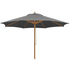 SLUNEČNÍK 300/257/300 cm obraz