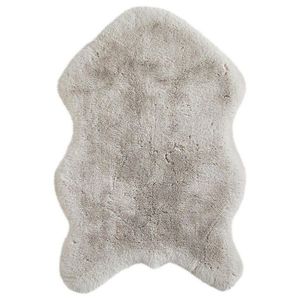 Novel UMĚLÁ KOŽEŠINA, 60/90 cm, barvy stříbra obraz