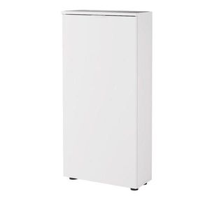 Livetastic BOTNÍK, bílá, 50/103/22 cm obraz