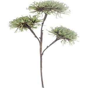 Ambia Home UMĚLÁ KVĚTINA chryzantéma 92 cm obraz