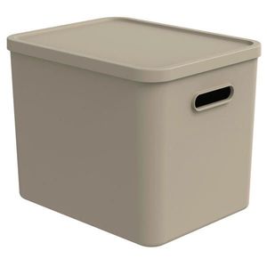 Rotho ÚLOŽNÝ BOX, plast obraz