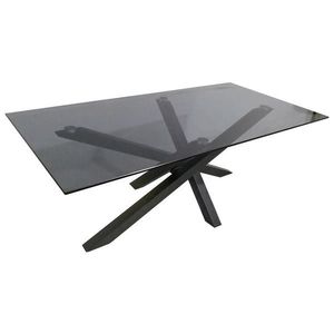 Xora KONFERENČNÍ STOLEK, šedá, černá, kov, sklo, 120/60/45 cm obraz