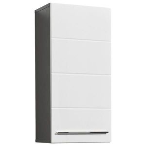 Xora ZÁVĚSNÁ SKŘÍŇKA, vysoce lesklá bílá, antracitová, 34/70/23 cm obraz