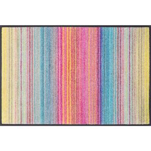 wash+dry DVEŘNÍ ROHOŽKA, 50/75 cm vícebarevná obraz
