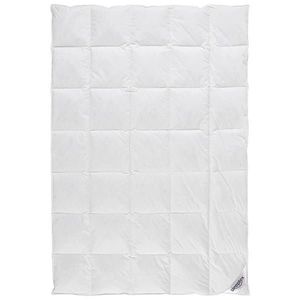 Sleeptex CELOROČNÍ PŘIKRÝVKA, 135/200 cm, kachní prachové peří, kachní peří obraz