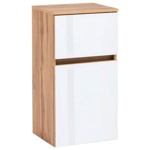 Held SPODNÍ SKŘÍŇKA, barvy dubu, 40/79/35 cm obraz